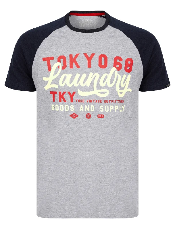 Catalyst Baseball Style Raglan Sleeve Crew Neck T-Shirt in Light Grey Marl - Tokyo Laundry